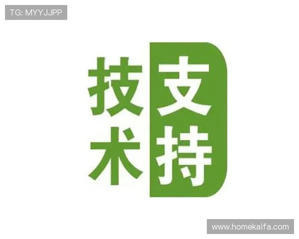 揭示凯发官方下载网站背后的技术支持与运营团队风采