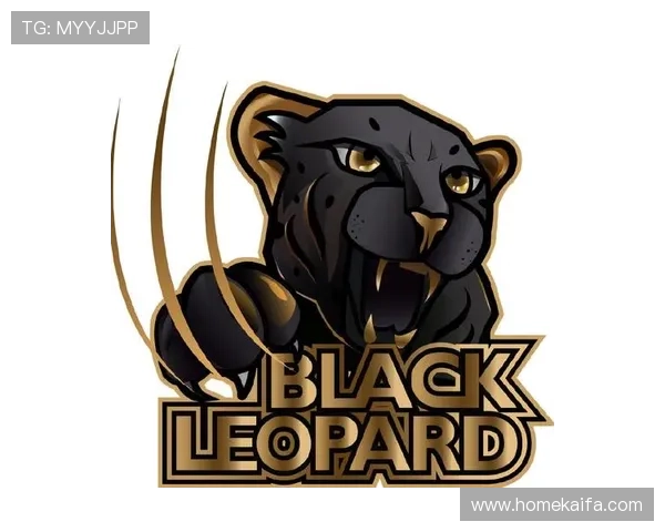 K8电子竞技俱乐部的合作伙伴与赞助资源详尽解读