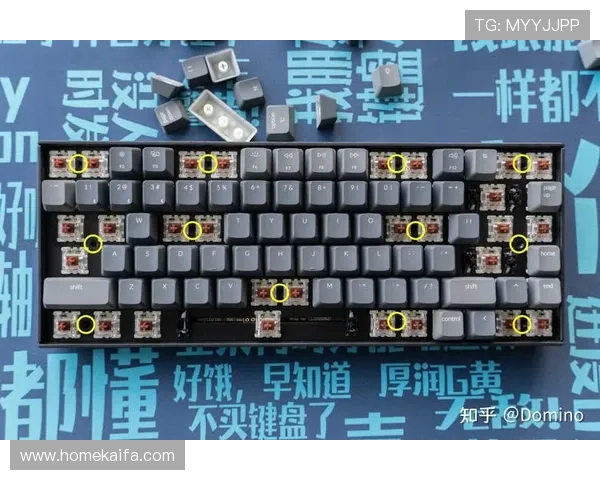 K8补鱼技巧分享，助你在游戏中轻松应对各种补鱼挑战提升胜率